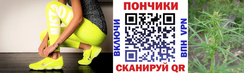 omg зеркало  закладки  Онега  Канабис план 